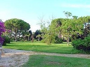 Nuovo giardino