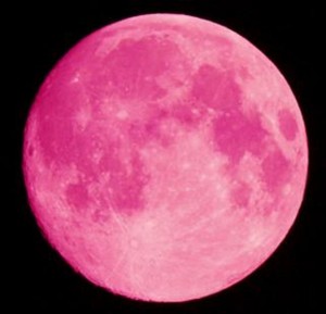 Superluna-rosa