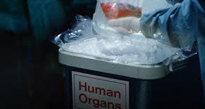 Traffico d'organi -