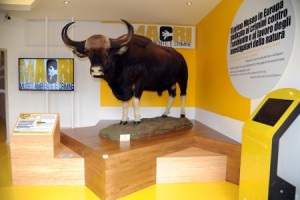 Museo-crimini-ambientali- foto-Luigi-Di-Battista