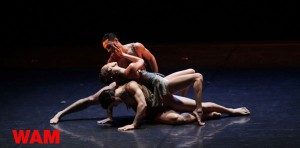 Wam-arteballetto-teatro-piccolo-Milano