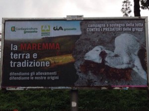 strage-lupi-marremma
