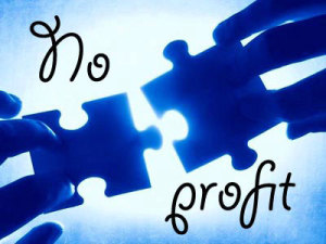 Terzo-Settore-no-profit