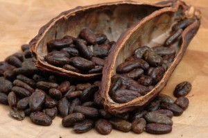 Cacao-minaccia-ebola