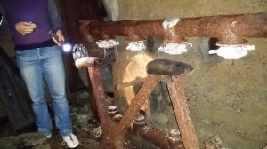 rifugio-piazza-marmolada-torino