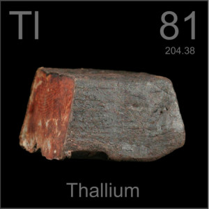 tallio