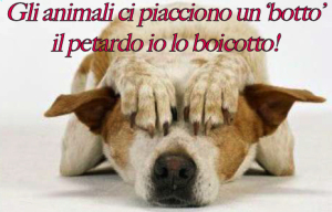 capodanno-senza-botto