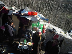 LIMMONDIZIA-DEL-CAMPO