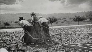 donne_lavoro_nei_campi_guerra_mondiale