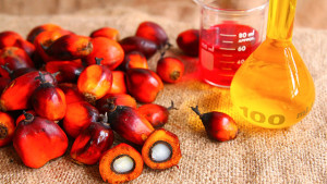 olio_di_palma