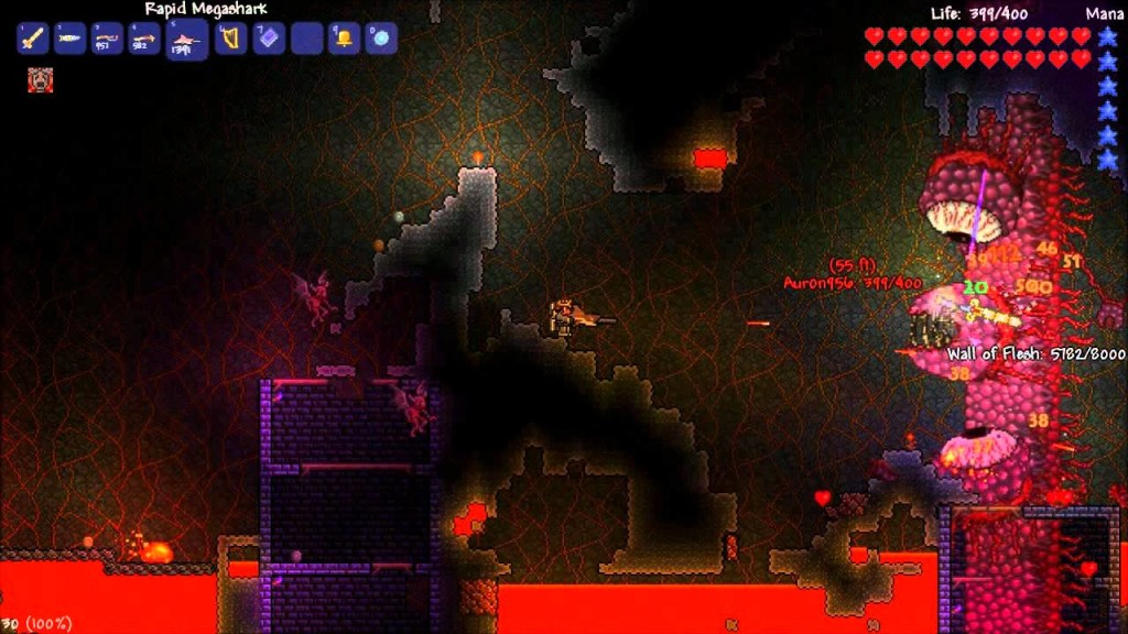 Wall Of Flesh Terraria