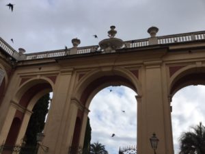 canova