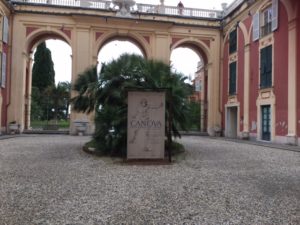 canova