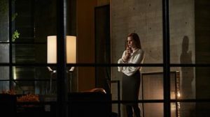 nocturnal animals