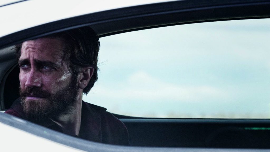 nocturnal animals