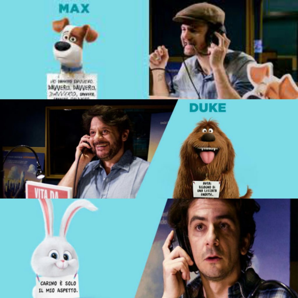 cattelan-petrolo-mandelli-pets