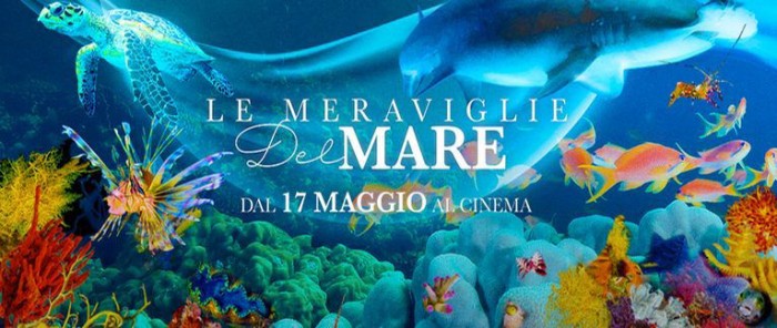 foto-articolo