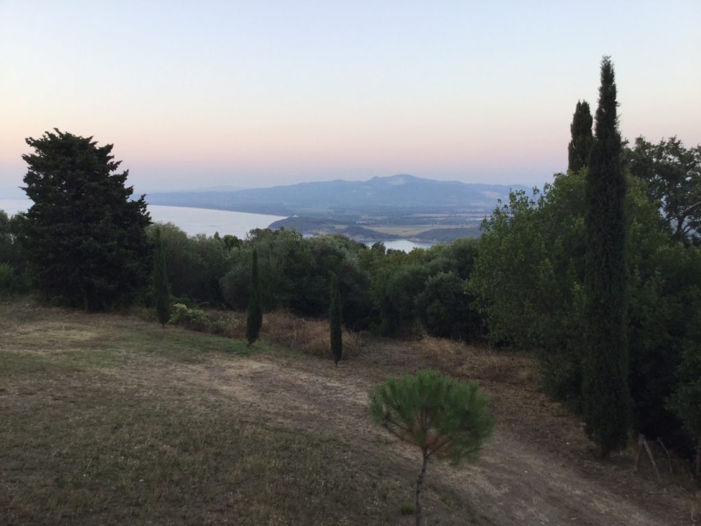 Populonia vista