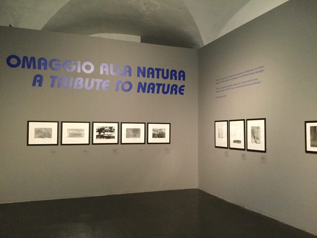 Fulvio Roiter