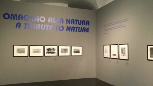 Fulvio Roiter