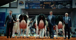 The Milk System