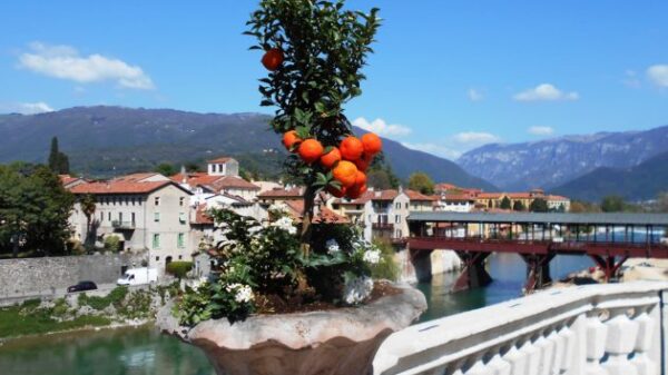 Bassano del Grappa