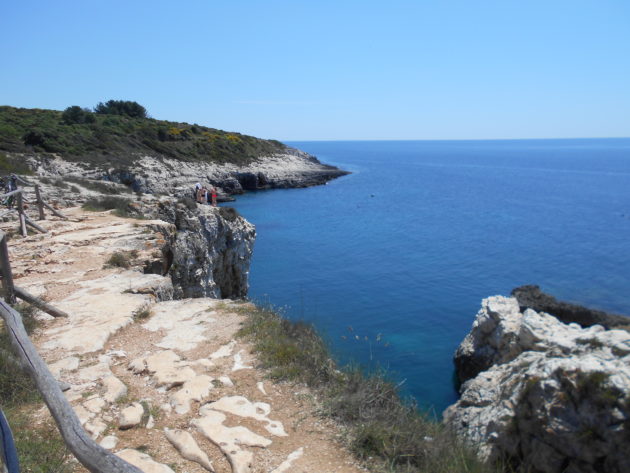 KAMENJAK