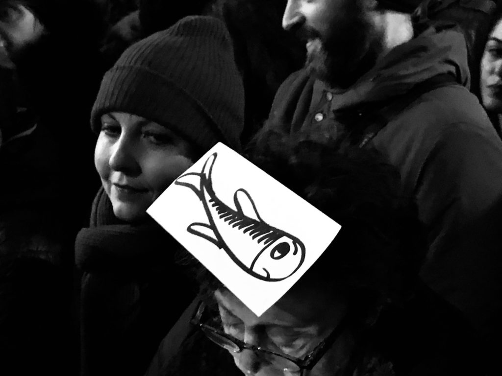 sardine in piazza