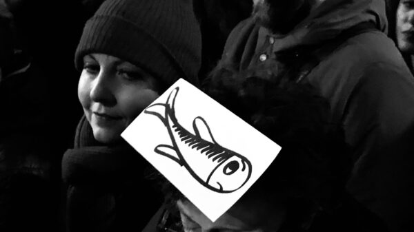 sardine in piazza
