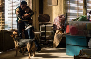 dogman marcello e alida