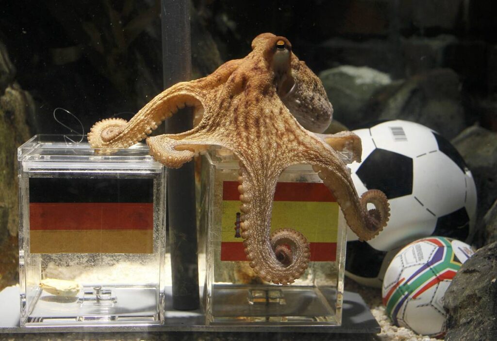 calcio magico