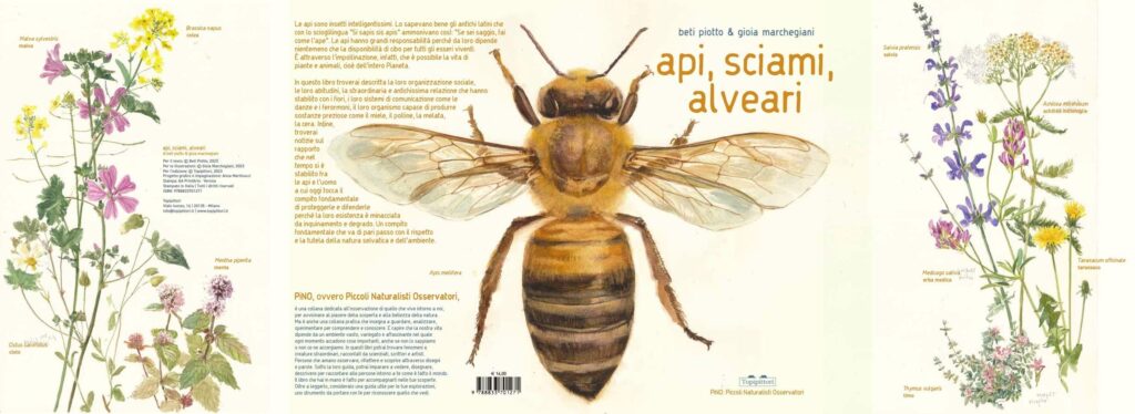 Api, sciami, Alveari. Copertina libro
