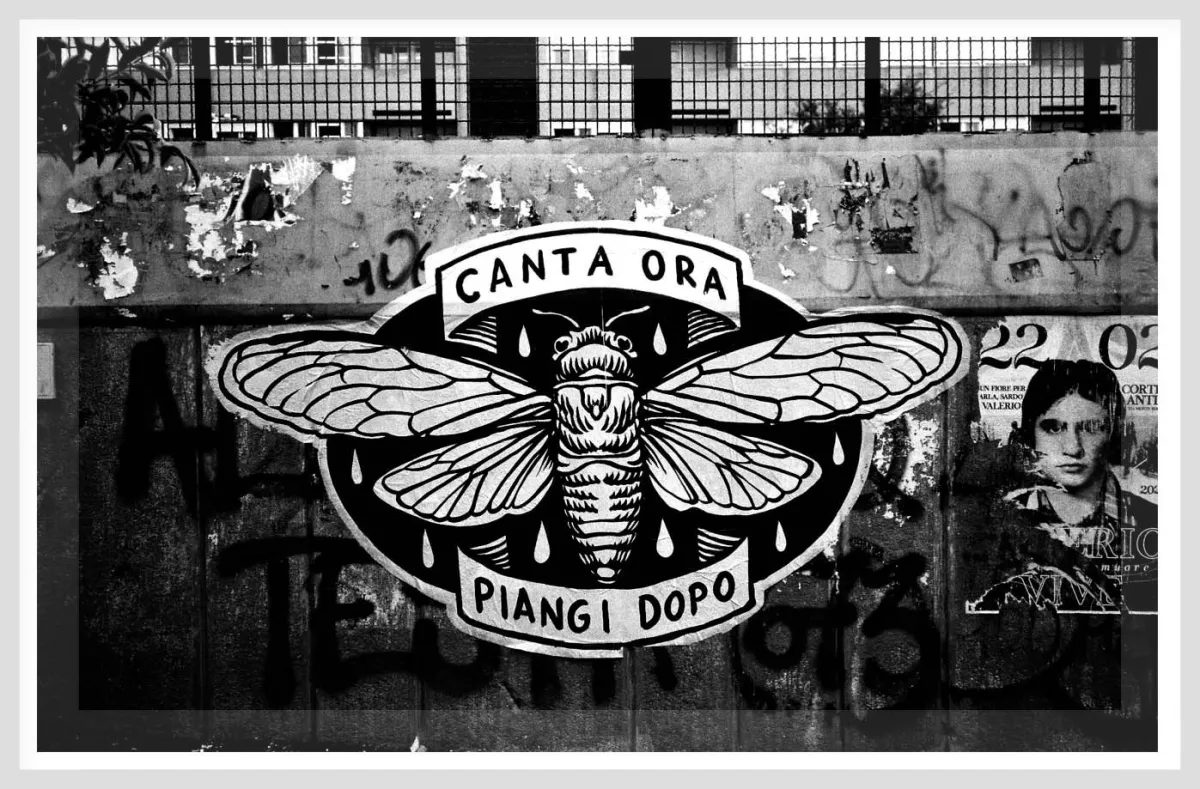 foto-articolo