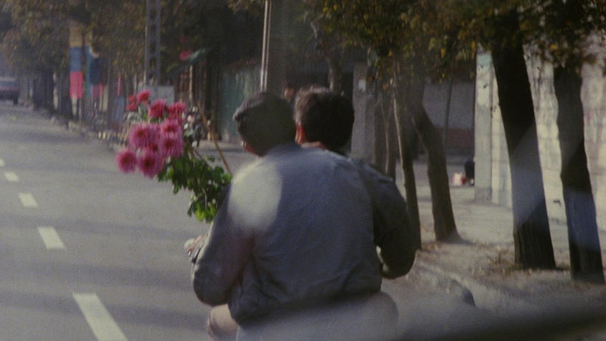 Il ritorno del film d'autore: cinema lento nell’epoca dello scroll