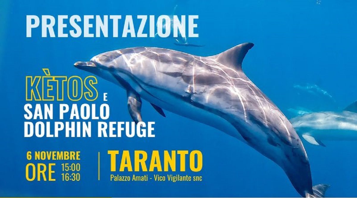 foto-articolo