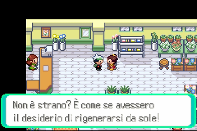 pokemon bacche